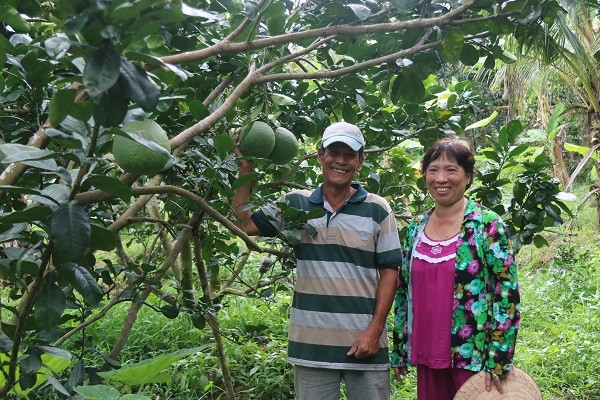 베트남 낙후농촌지역인 번째성의 농민 부부가 교보생명으로부터 지원 받은 자몽나무 열매를 보며 환하게 웃고 있다. 사진=교보생명