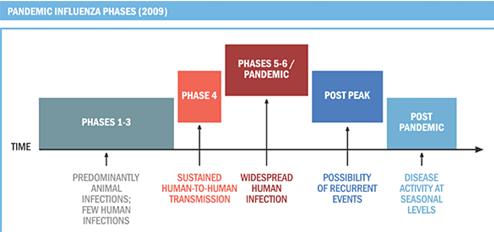 세계보건기구(WHO)의 전염병 진행 상황에 대한 6단계 분류. 2009년 신종플루 발병 당시 활용됐다. 자료=세계보건기구(WHO) 홈페이지 갈무리