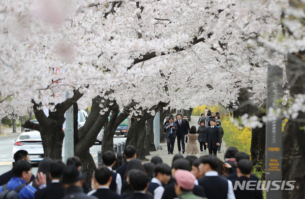 지난해 4월 9일, 서울 여의도 윤중로 일대에서 여의도 벚꽃축제가 열려 시민들이 봄꽃 나들이에 나선 모습이다. 사진=뉴시스