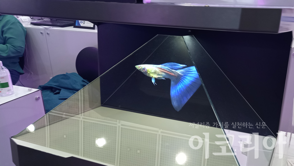 홀로그램으로 구현된 물고기. 사진=여정현 필자.
