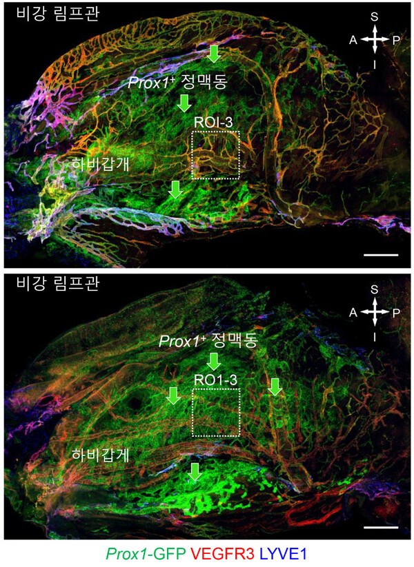 = 기초과학연구원 누리집