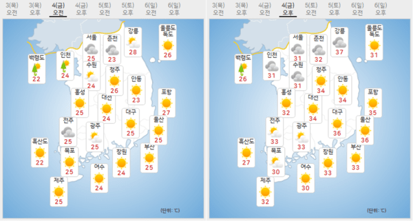 도박 사이트