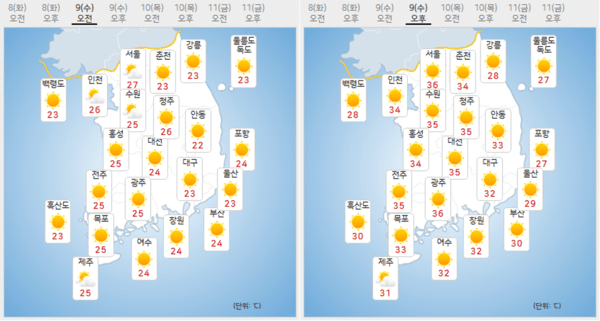 토토 도박