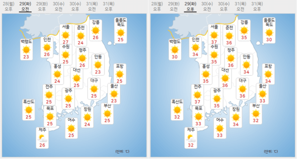 바카라 도박