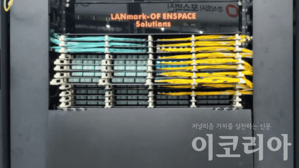 도박 게임 유형에 사용되는 네트웍 케이블링.자료=여정현 필자 제공.