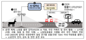 AI가 멸종위기 야생동물도 보호한다 [선진국의 로드킬 예방정책 톺아보기]