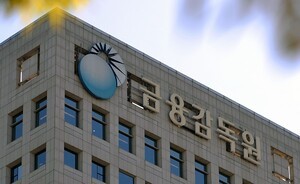 국내 보험사들, 건전성 하락에 빚내  자본 확충
