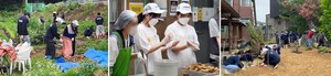 교촌치킨, 대학 RCY ‘촌스러버’와 농촌 일손돕기 봉사활동 바카라 도박